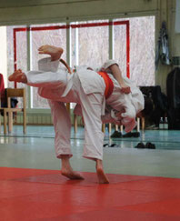 Mehr über den Artikel erfahren Landes EM u12 (2015)